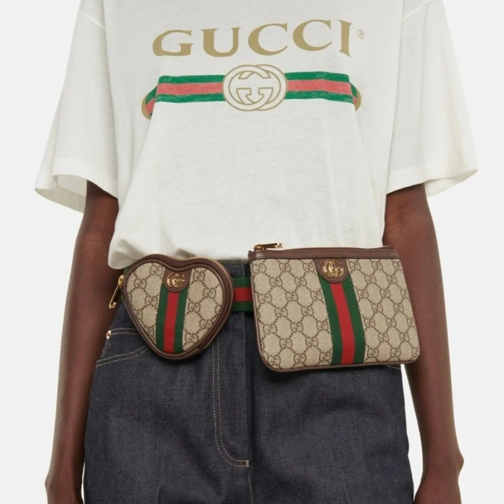 Gucci Beige and Brown Belt Bag Set - Picture 7 of 7